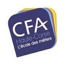 INFOSA - CFA Haute-Corse - Institut de formation santé en corse - formation - sante - stages - AFGSU